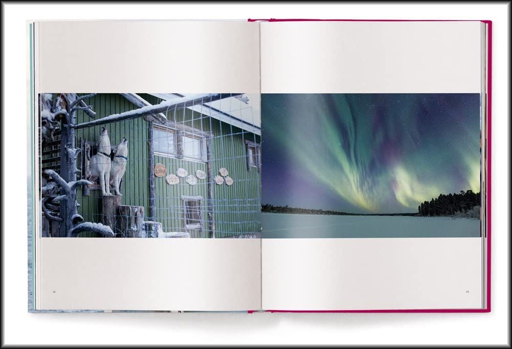 No Signal - English/German Edition