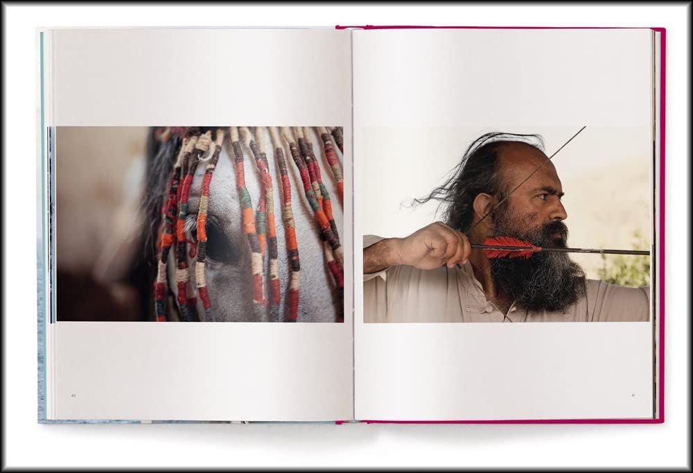 No Signal - English/German Edition