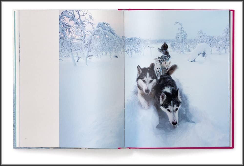 No Signal - English/German Edition