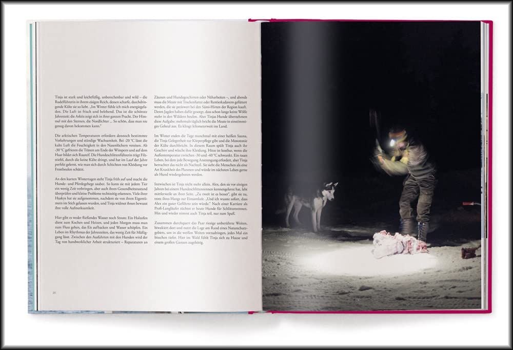 No Signal - English/German Edition