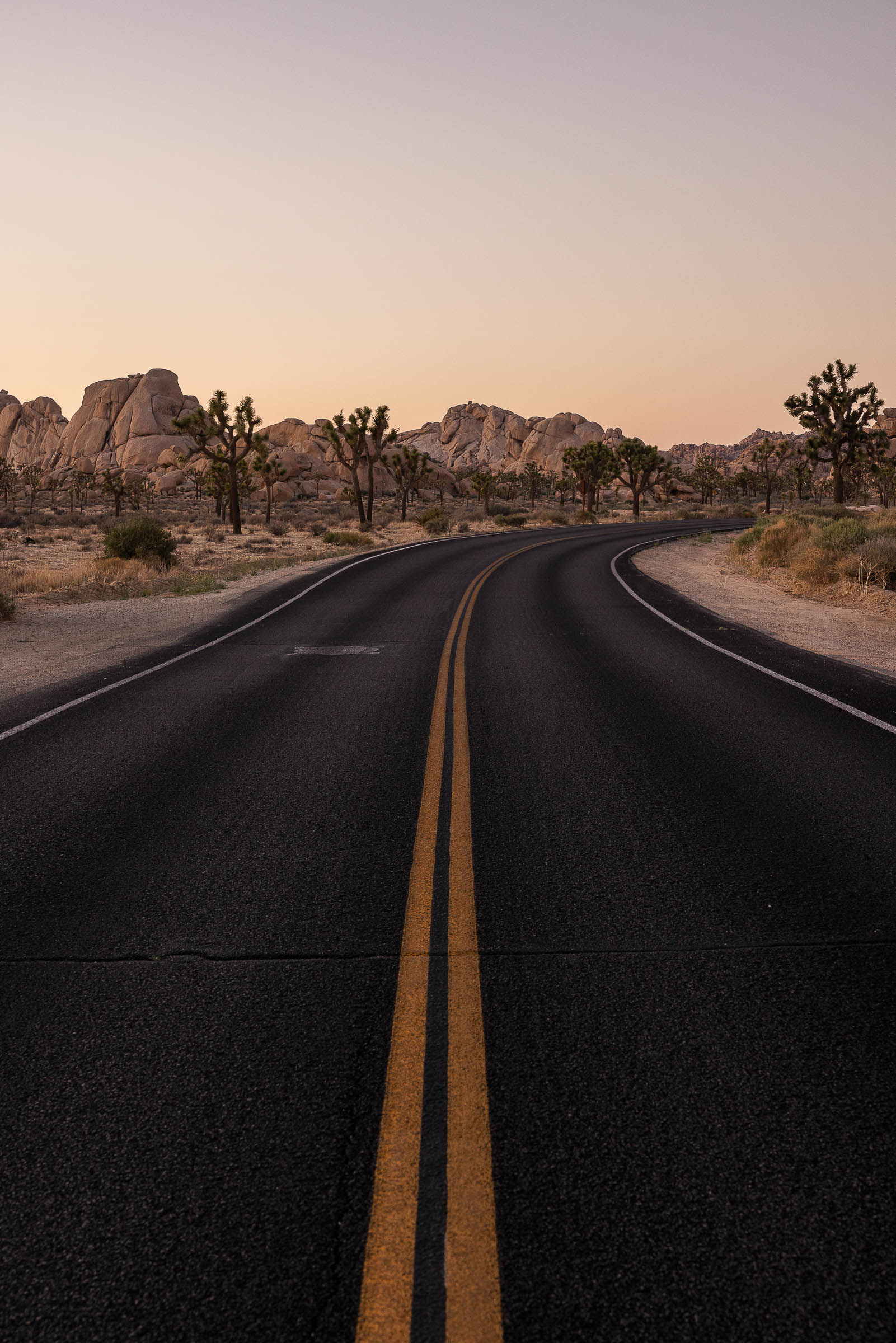 Mojave Roads